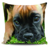 Boxer Puppy 18" Pillow Cover - Spicy Prints