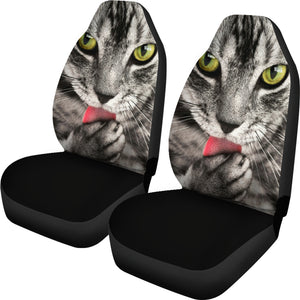 Tabby Cat Car Seat Covers