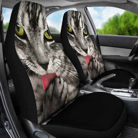 Image of Tabby Cat Car Seat Covers