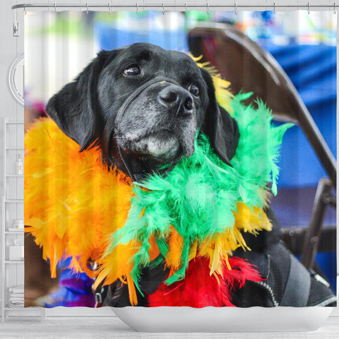 Image of Pride Pup